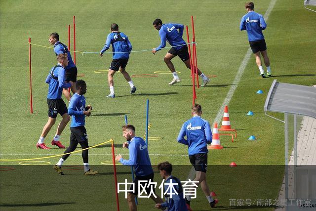 中欧体育公司简介图片